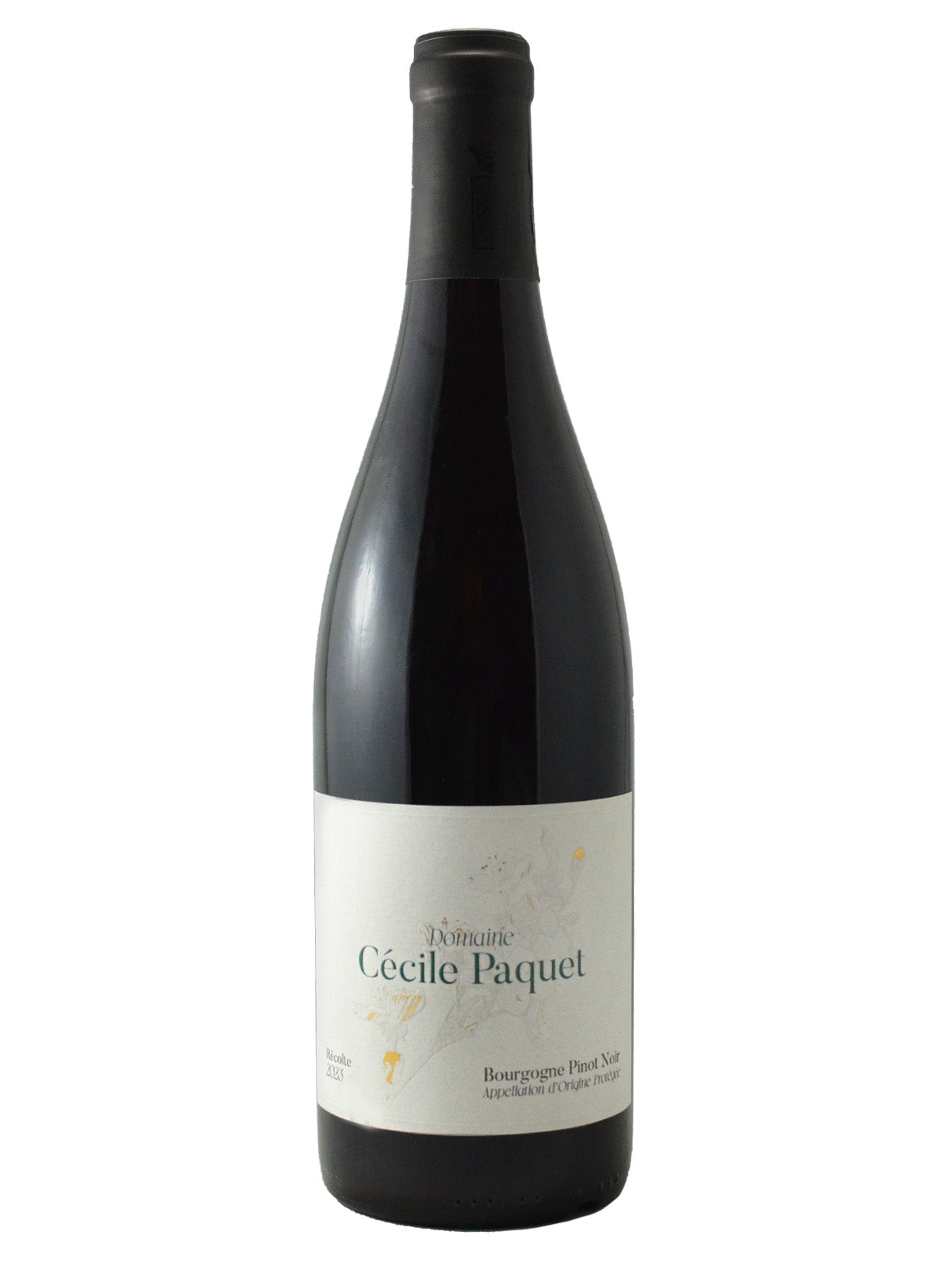 Domaine Cécile Paquet Bourgogne Pinot Noir – Kenaston Wine Market