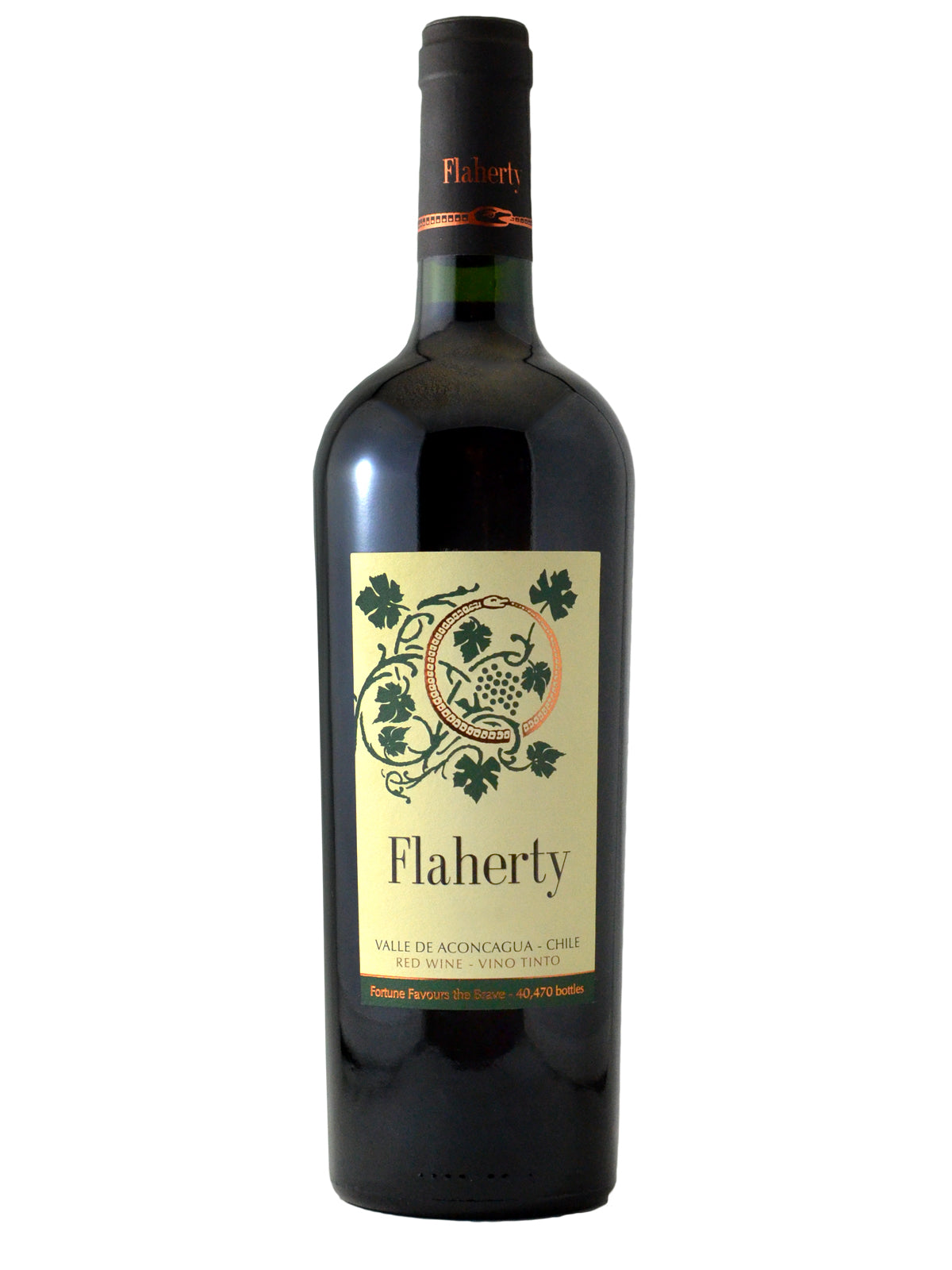Flaherty Aconcagua
