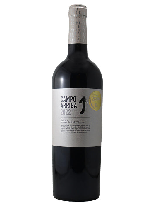 Wine bottle (red wine) labeled 'Campo Arriba 2022' on a white background. Features a gold medal from the Decanter World Wine Awards with a score of 95 points.