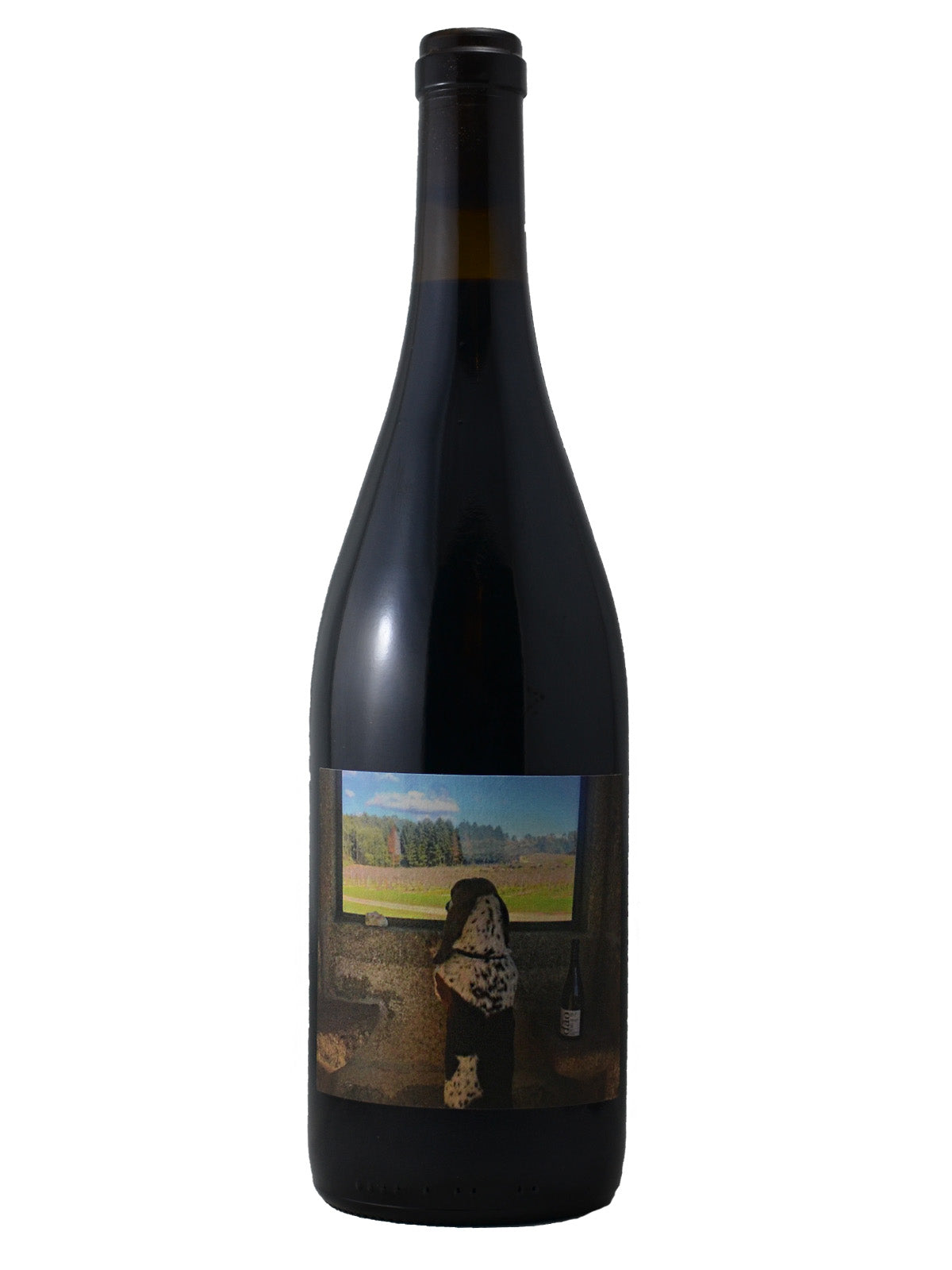 Quinta de Saes 'Tobias' Red Blend